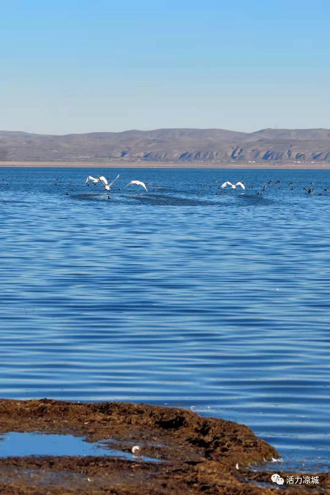 凉城岱海介绍,凉城岱海旅游景区(凉城史话之:岱海及岱海滩)