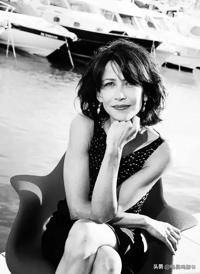 苏菲是什么，法国女人叫苏菲（苏菲是什么电视剧的女主角）