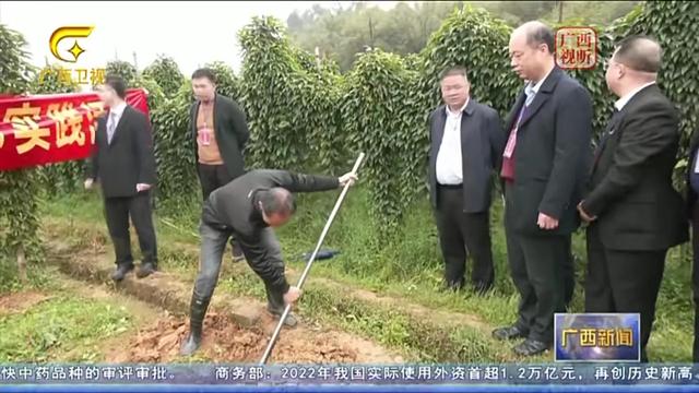 桂平旅游景点大全，广西桂平十大旅游景点排名（没来过广西贵港市桂平市旅游的）