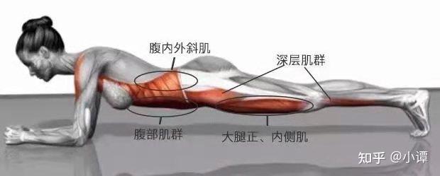 坚持每天10点睡一个月，为什么学霸睡4个小时也不困（你有什么好的习惯一直在坚持）