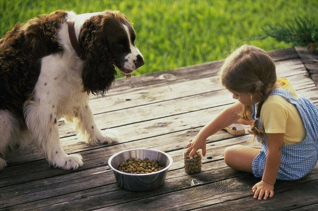 独特好听的零食店名字360个 零食店名字有创意的取名大全，独特好听的零食店名字360个（2022年狗狗“爆款”名字公布）