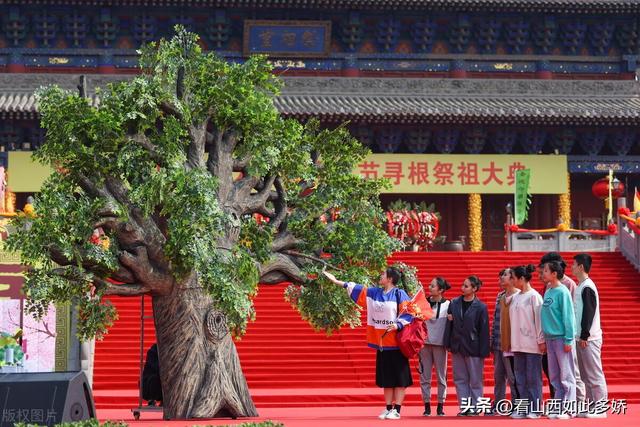 大槐树传世2500多年，传奇故事震惊后人，揭秘神秘的东方之根！