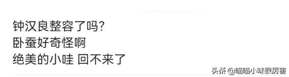 钟汉良个人资料档案，钟汉良个人资料（老了却丑的各具特色）