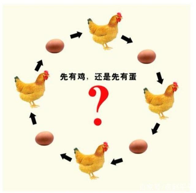 先有鸡还是先有蛋标准答案，先有鸡还是先有蛋正确答案（6.1亿年前化石给出答案）