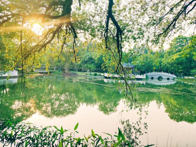 南京周边旅游景点推荐，南京周边自驾游（34个好玩又免费的宝藏公园）