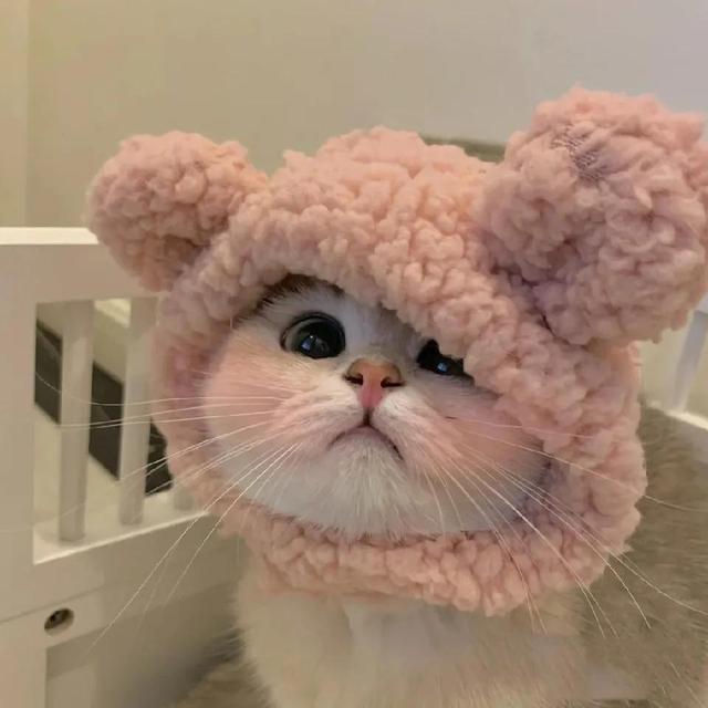 可爱系列，女生头像可爱系列（头像，可爱系列图片）