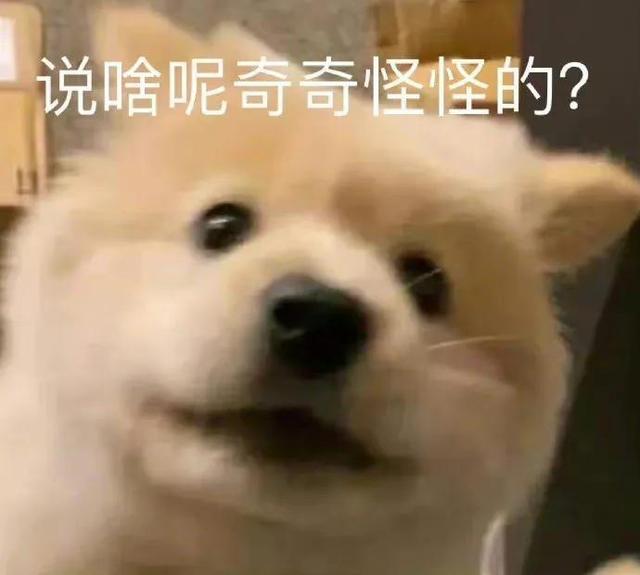 哼唧唧歪歪，微信头像，哼唧唧歪歪（猫猫狗狗表情包/哼哼）