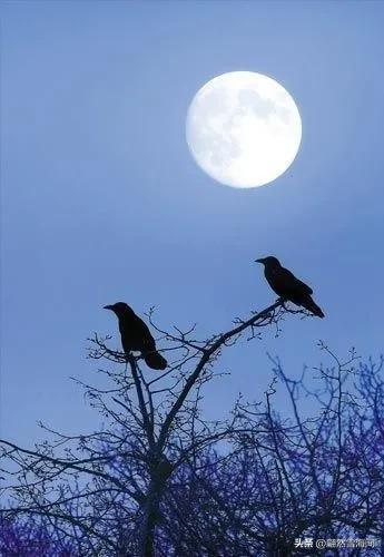 生日古诗词名句送自己，适合自己生日发的诗词（逢年过节可以派上用场）