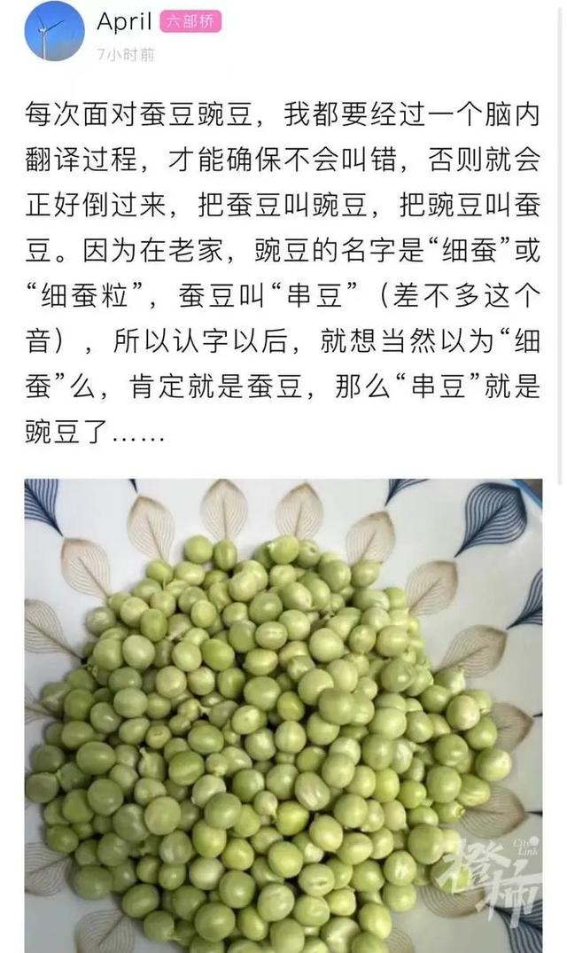 毛豆是什么东西，毛豆是什么东西做的（豌豆、蚕豆、青豆、荷兰豆）