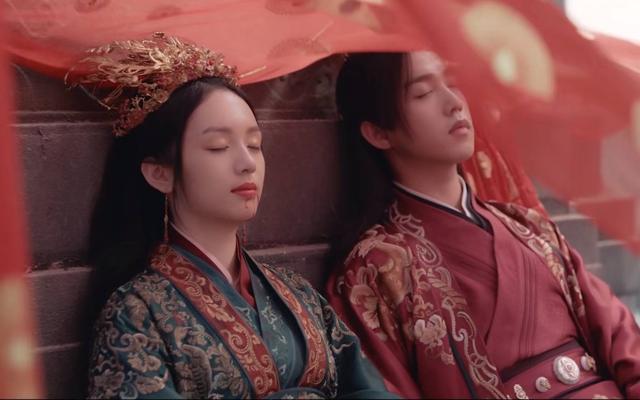 北美大灰狼是什么梗，北美灰狼为什么这么大（嘟嘴索吻、牵手搂抱、时刻黏在一起）