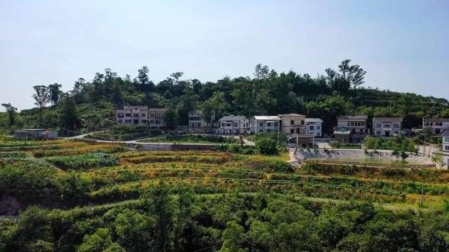 黑木耳可别这么吃，黑木耳咋吃好（徒步旅行or沿线游玩）