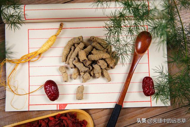 茯苓是热性还是凉性，茯苓是热性的吗（送你五味中药）