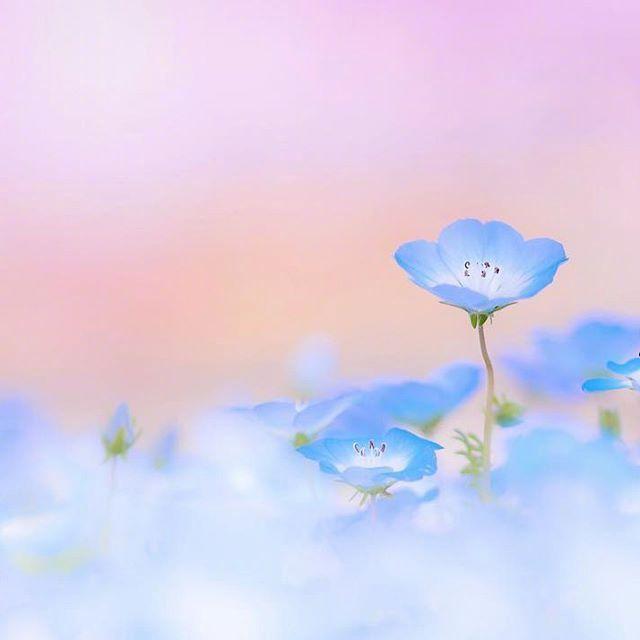 关于朋友的名言，关于朋友的名言经典（十一月发朋友圈最棒的人生格言）