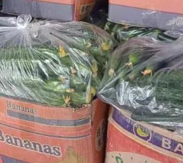 蔬菜价格一览表，农村4种蔬菜价格表（今日河南部分蔬菜最新价格）