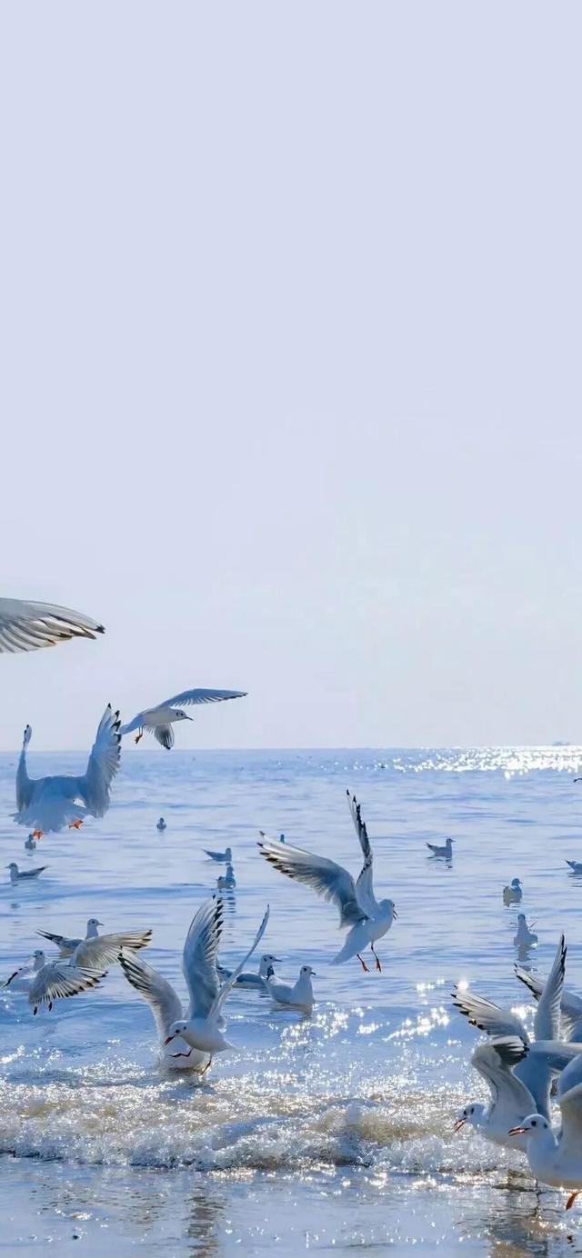 超可爱的背景图/ 生活奇奇怪怪 我要可可爱爱。，超可爱的背景图横屏（但总有人可可爱爱的）