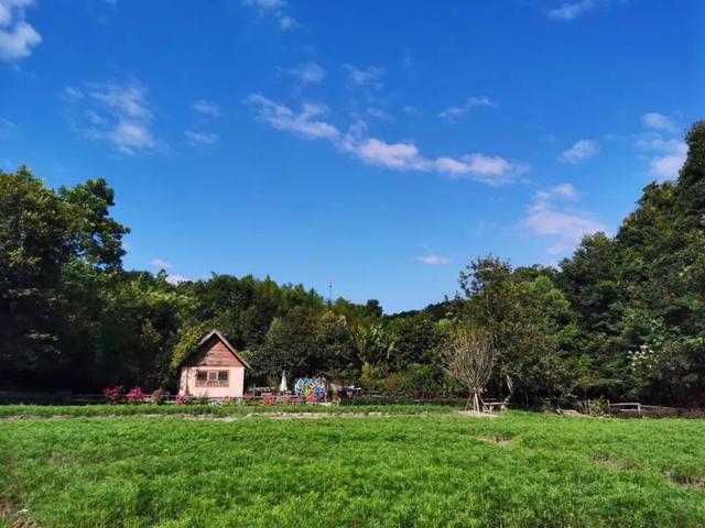 公顷与亩的换算，公顷换算成亩（关于乡村振兴必知的20个土地基础知识）