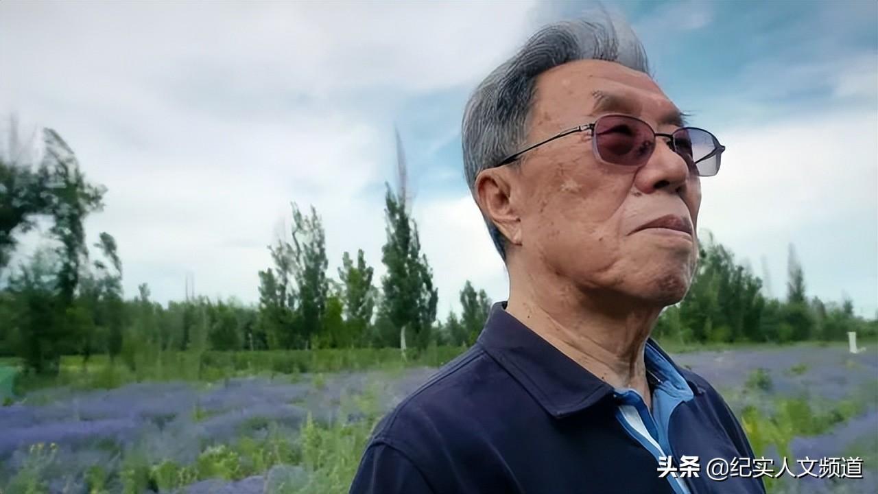 我到新疆去(我到新疆去挑战文本内容)