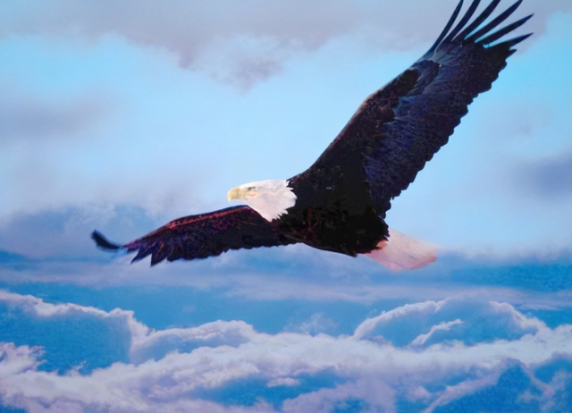 经典网名昵称最有人气，最具人气的网名（历朝历代最经典的45首豪放词）