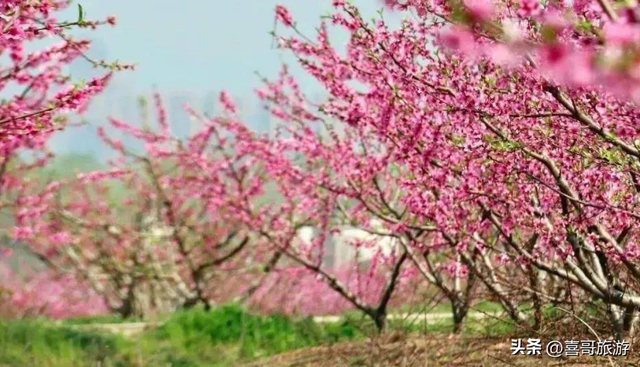 合肥周边哪些城市适合自驾游，长丰一日游景点自驾游攻略