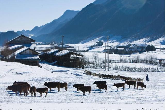 大雪是什么意思，大雪纷飞是什么意思（其中的含义你知道吗）