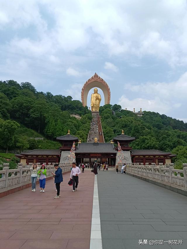 江西东林大佛旅游讲解，高48米全身贴金的东林大佛