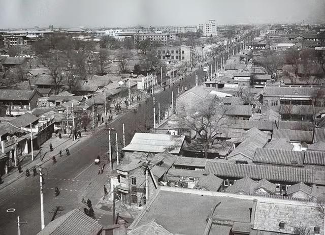 哈尔滨才子照片，才子骂小花（黑龙江一记者采访监狱）