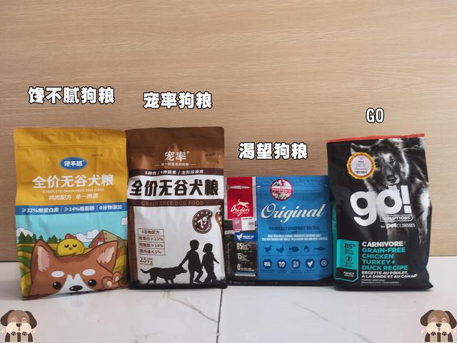 巨贵犬多少钱一只，黑色巨贵犬多少钱一只（“泰迪”和“巨贵”）