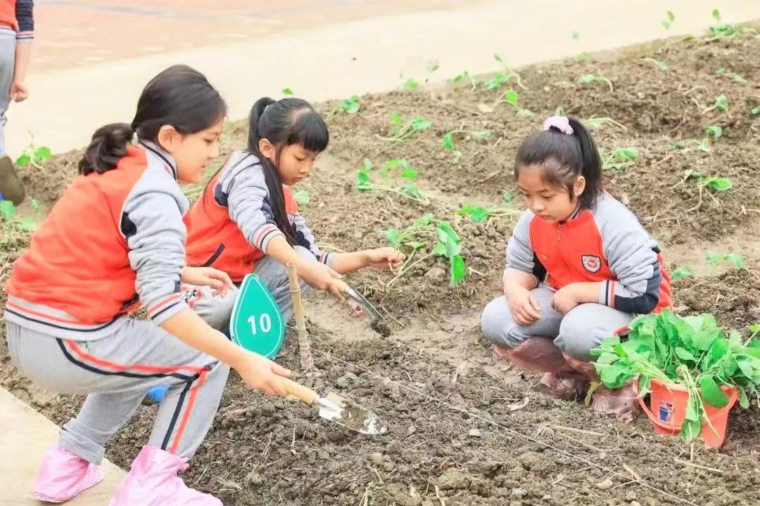 金钥匙培训学校（儿童友好学校的金钥匙在哪里）