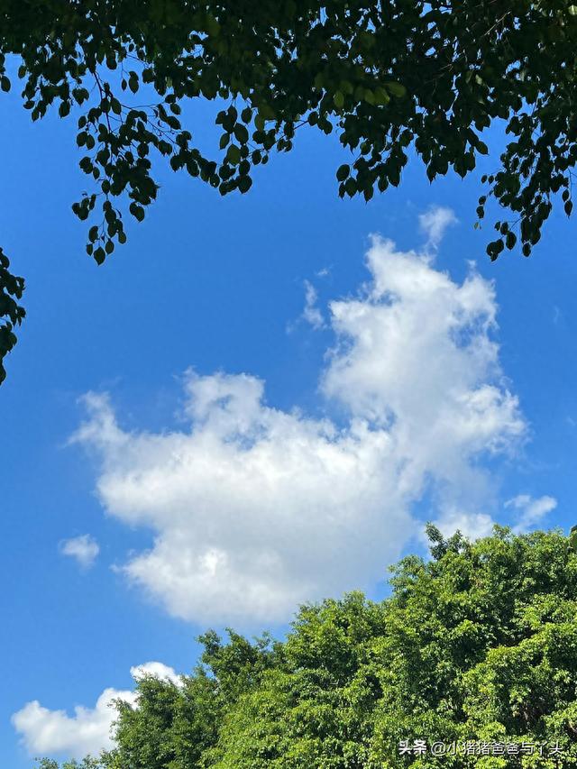 古城泉州，石笋公园游记