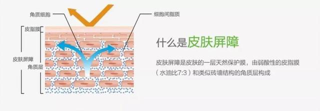 脸部能天天热敷吗，热敷脸有哪些功效与作用（面膜可以天天敷吗）