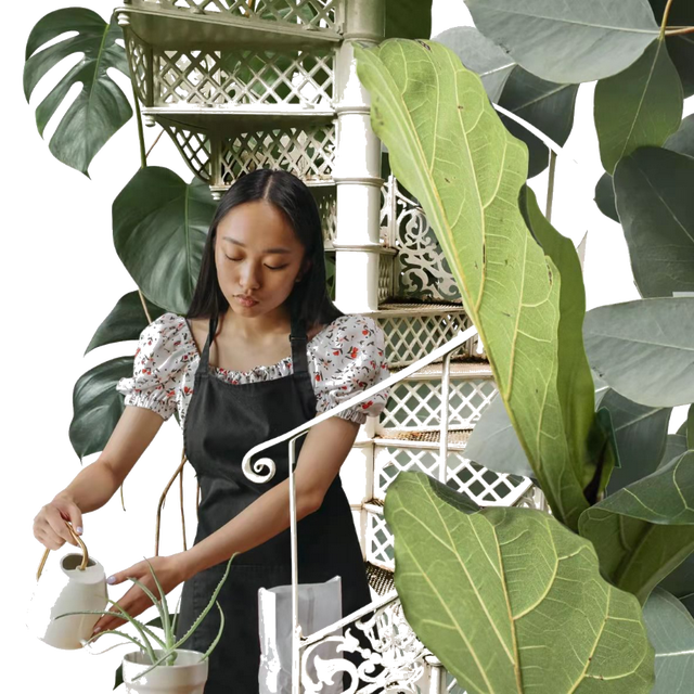 新古典主义家具，西方古典家具（2022五大流行家居趋势）