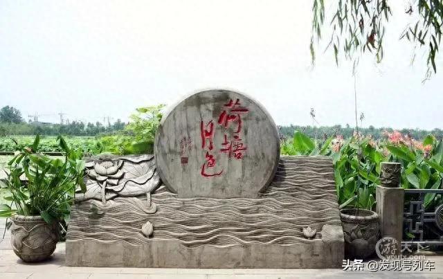 摄影师的打卡地荷塘月色将不复存在，终究是浪漫不能当饭吃