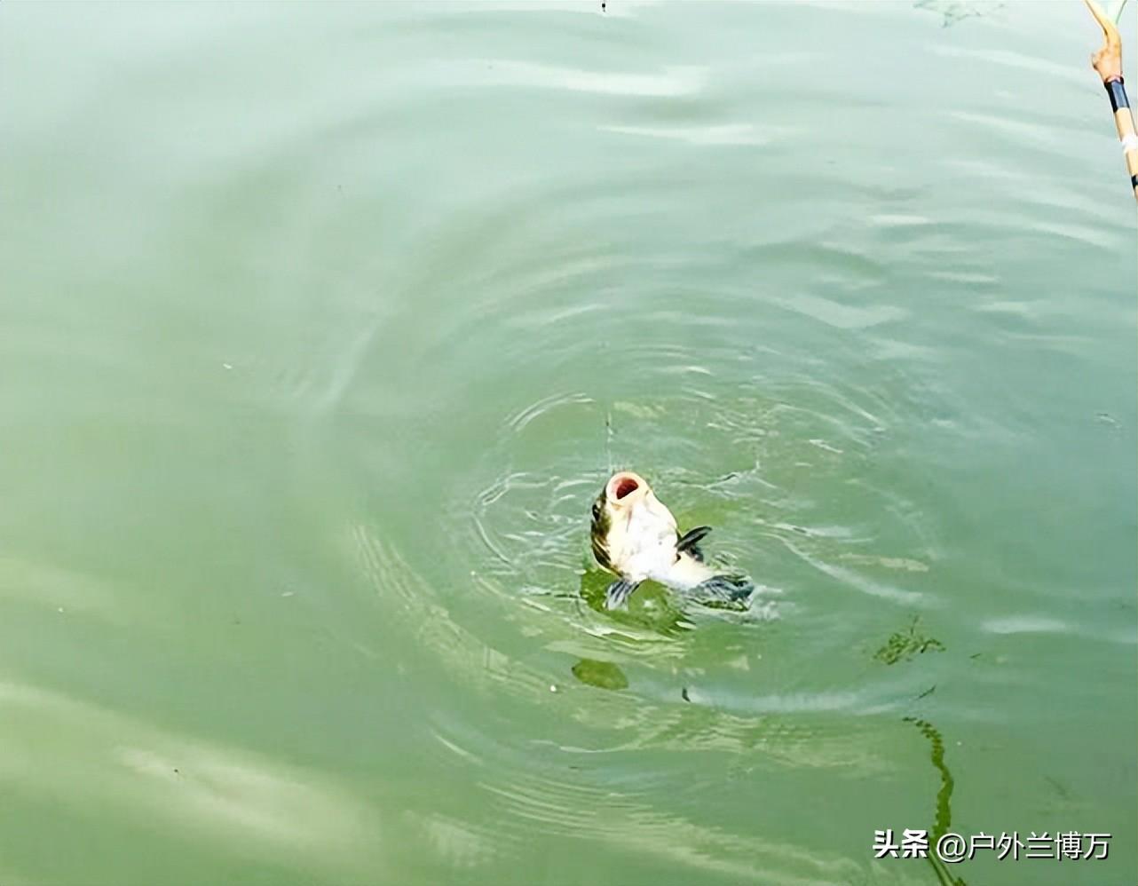 并继竿的优缺点，请教 并继竿的优点（对并继竿要求过高）