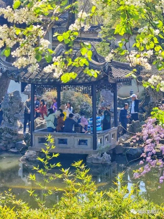 苏州山塘街攻略，苏州山塘街美食最强攻略（周末轻松苏州游）