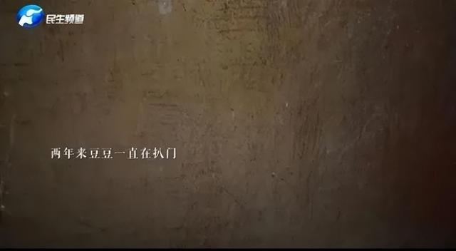 忠犬八公是什么狗，智商高又不掉毛的狗（忠犬在家门口守了2年）