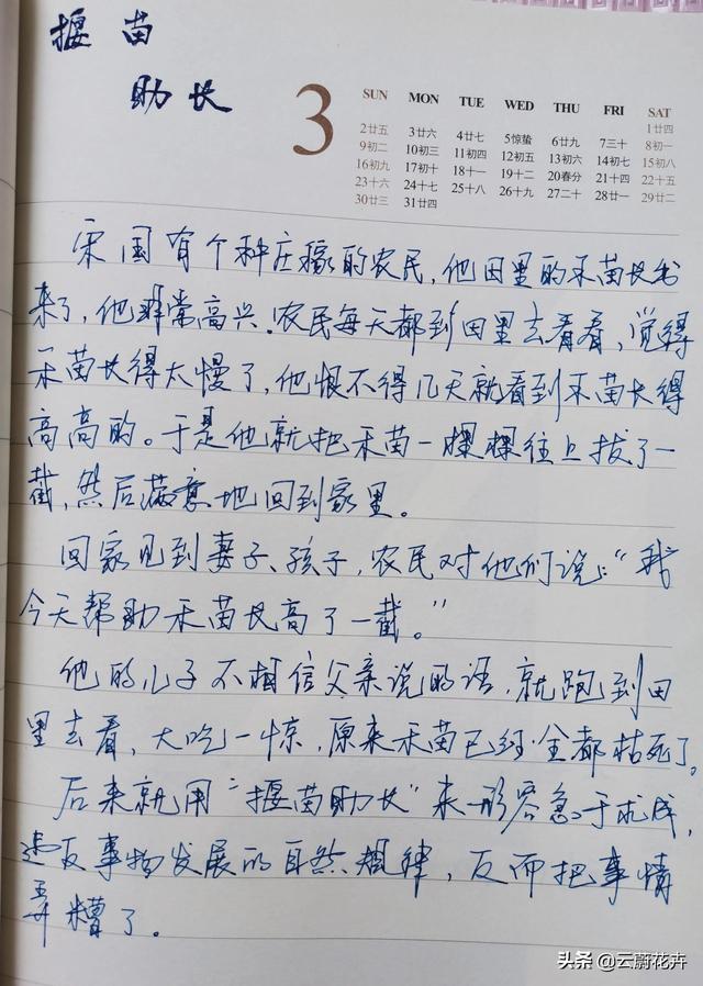 嫩芽的意思指什么，嫩芽的意思（一字一故事——苗）