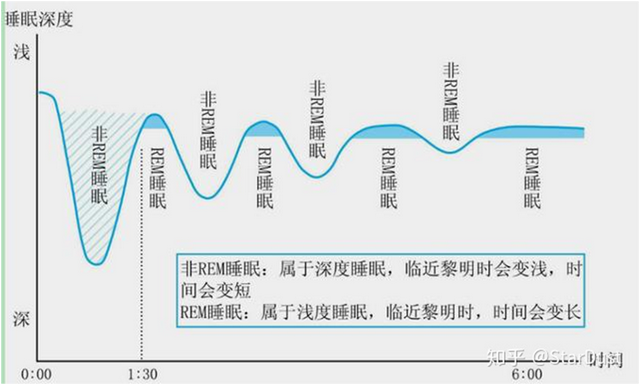 睡眠周期怎么算，怎样算一个睡眠周期（你需要了解的几个关于睡眠的“冷知识”）