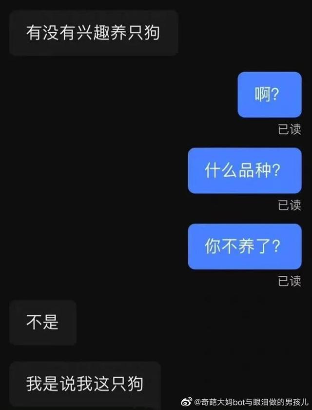 ddl是什么意思(网络语ddl是什么梗)，ddl是什么意思（拖延症脱单还得靠ddl）