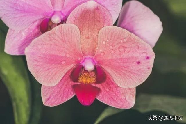 经常换头像的人的性格特点，爱换头像的女生的性格（不要轻易去撩一个频繁换微信头像的男人）