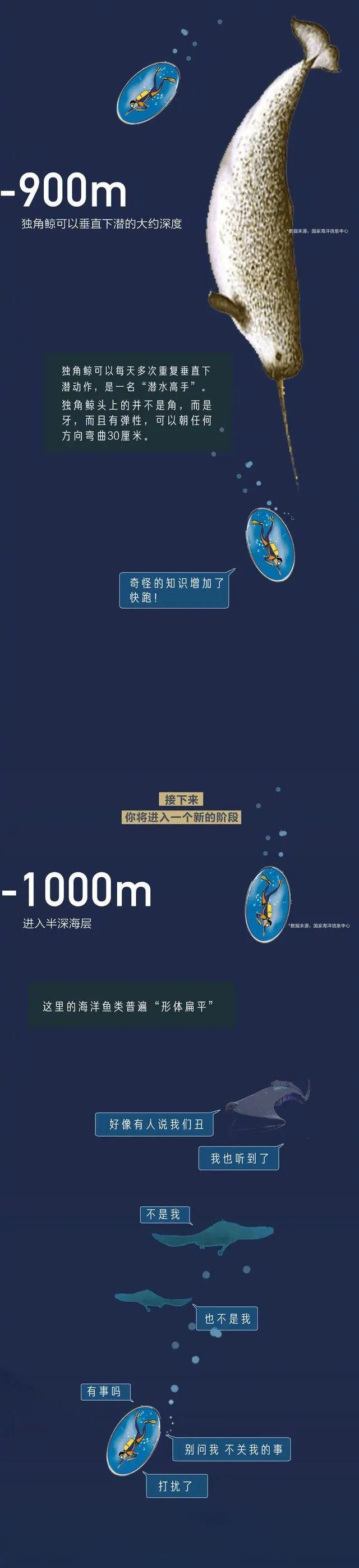 海洋底下一万米科普，从0米到10000米