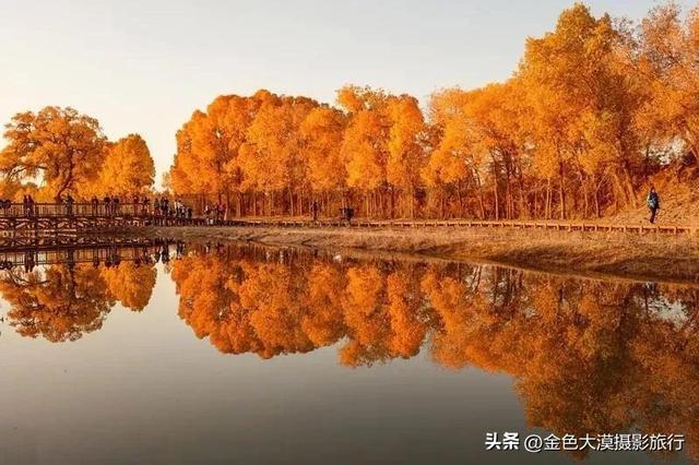 2022最新版额济纳旗胡杨林游玩攻略，请收好