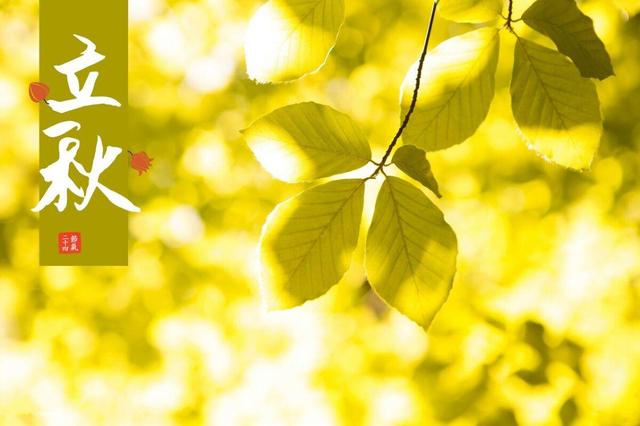 立秋这天吃什么，立秋当天吃什么（别忘“食6宝）