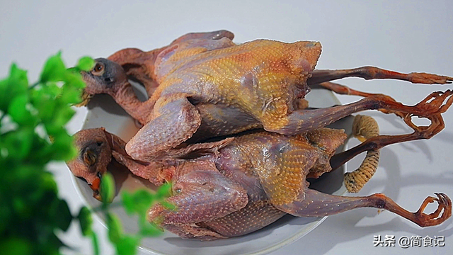 鸽子怎么做好吃，鸽子肉怎么吃好吃（教你商业版做法）