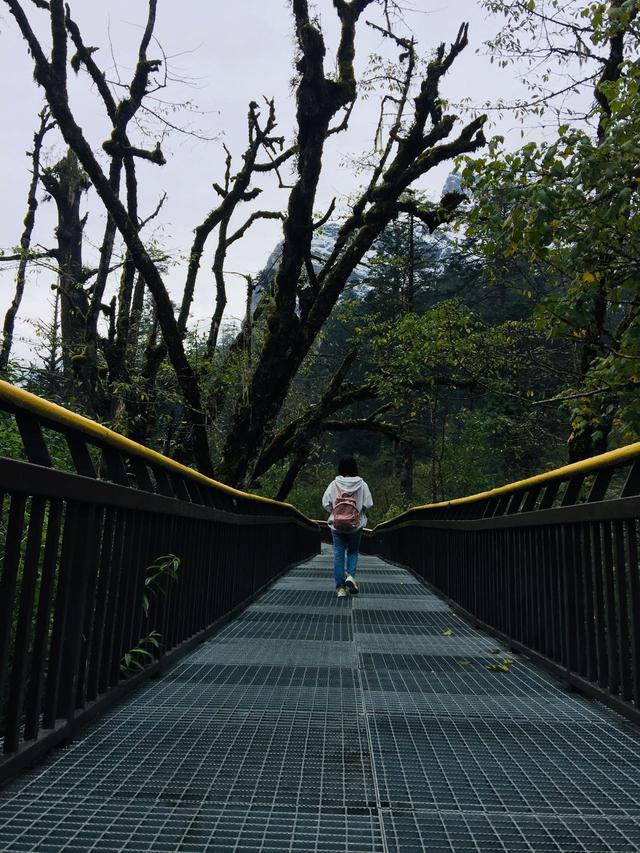 文艺范 唯美中有点伤感网名，文艺范 唯美中有点伤感微信昵称（起一个想念的名字）