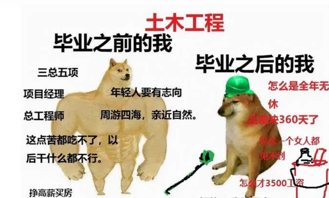 同济大学王牌专业，同济大学浙江学院王牌专业有哪些及专业排名（一切要从去年B站大猛子走红说起）