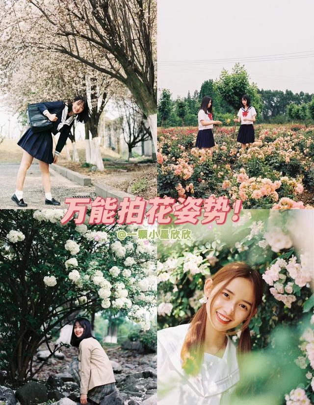 花海中如何拍出好看的照片，怎样在花海拍照好看（四季拍花海人像都能用）