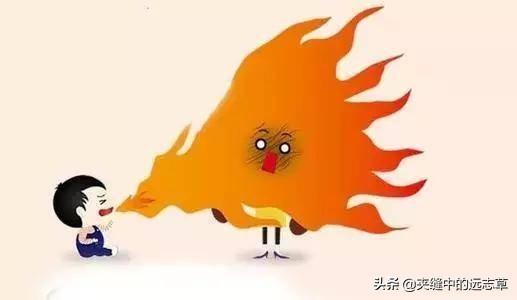 茯苓是热性还是凉性，茯苓是热性的吗（送你五味中药）
