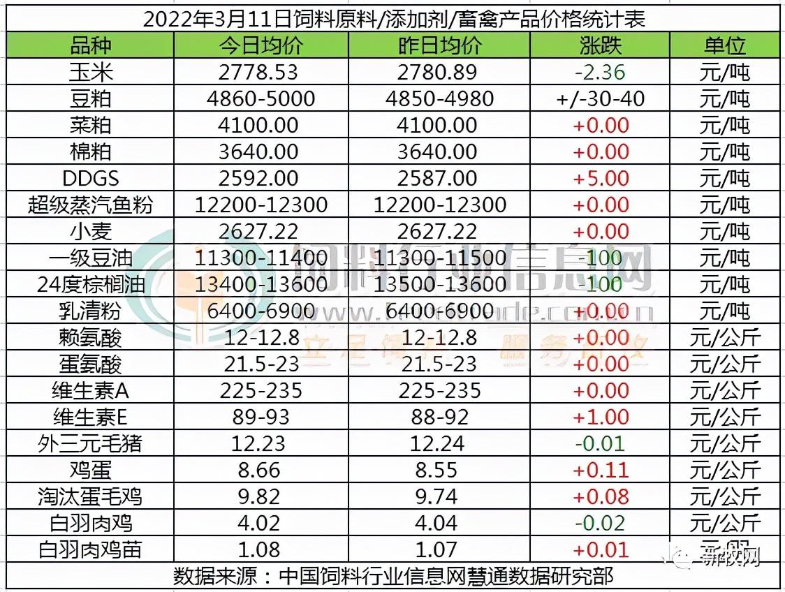 加大饲料（饲料最高大涨500元）