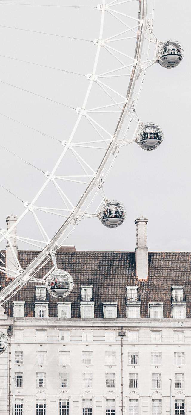 简短走心的文字背景图 怪我没有见过玫瑰，所以对野花情有独钟，最走心的图片文字（那一些念念不忘却没有回响的文案）