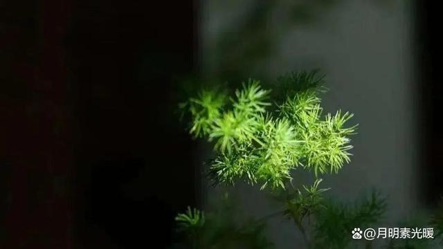 外汇理财产品怎么买，外汇理财产品怎么买卖（外汇的投资方法有哪些）